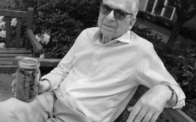 A Cannabis Odyssey: To Smoke or Not To Smoke by Lester Grinspoon