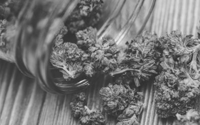 Strains for Anxiety, Pain Relief & More