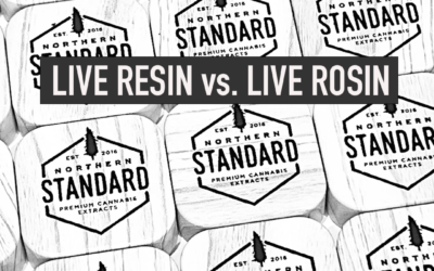 What’s the Difference between Live Resin and Live Rosin?