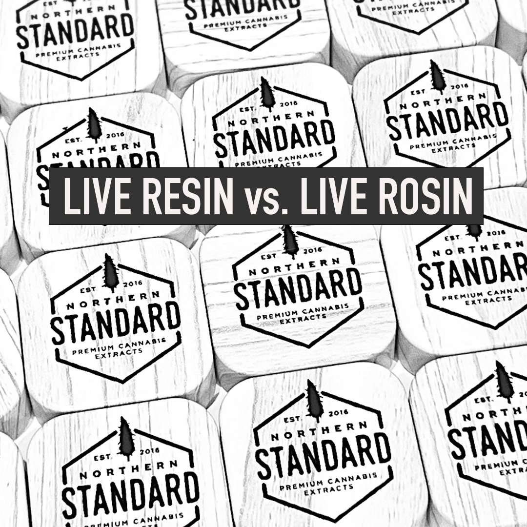 What’s the Difference between Live Resin and Live Rosin? What's the